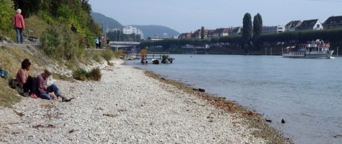 Rheinufer mit Kiesstrand